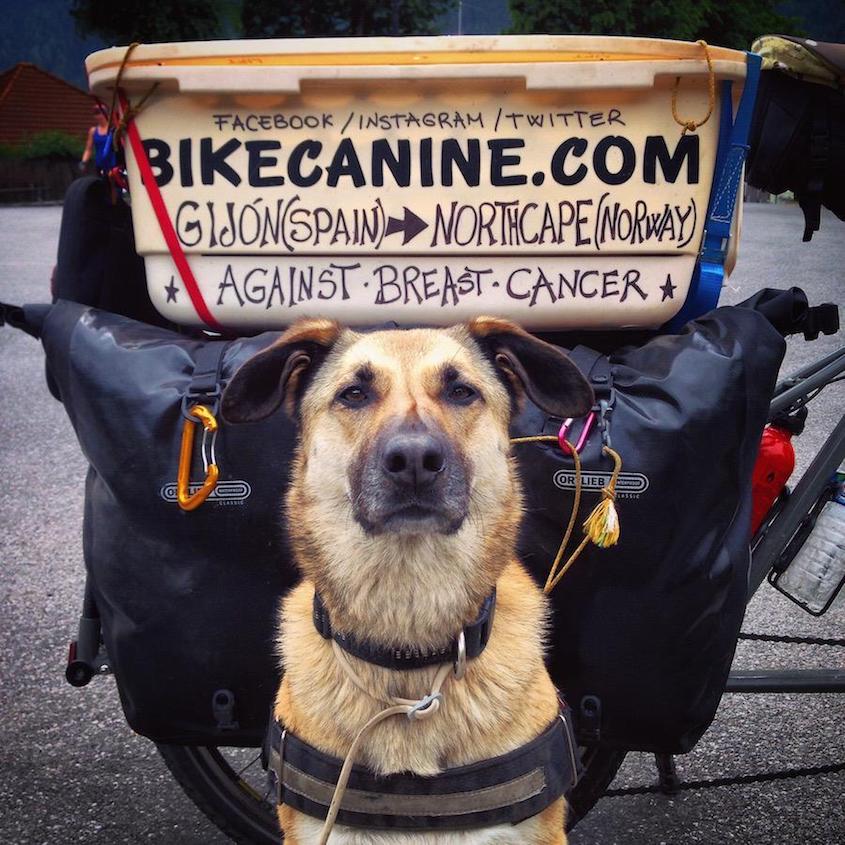 Bikecanine cicloturismo_urbancycling_2