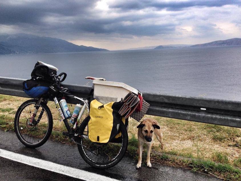 Bikecanine cicloturismo_urbancycling_5