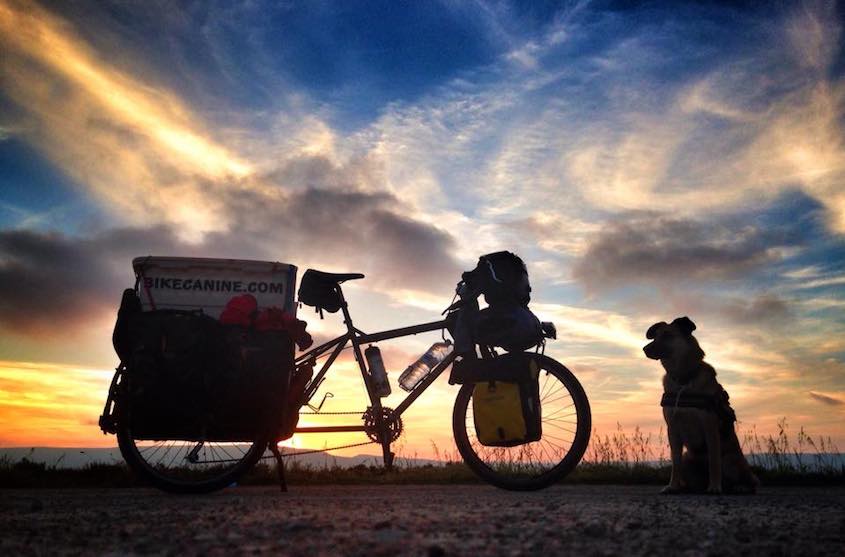 Bikecanine cicloturismo_urbancycling_6