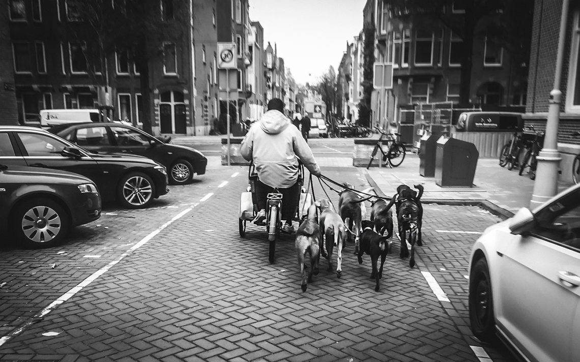 The Rear View Wheel mobile_photography_rollingspoke_9