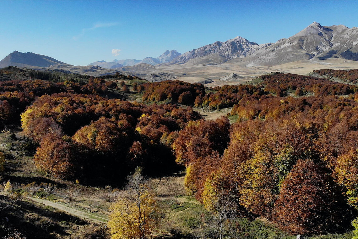 The+Wolf's+ Lair by Montanus Wild 2019_3