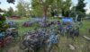 Dottò_Valet_Bike Parking_Scintilla_Cicloprogetti_APS_Nilox_1