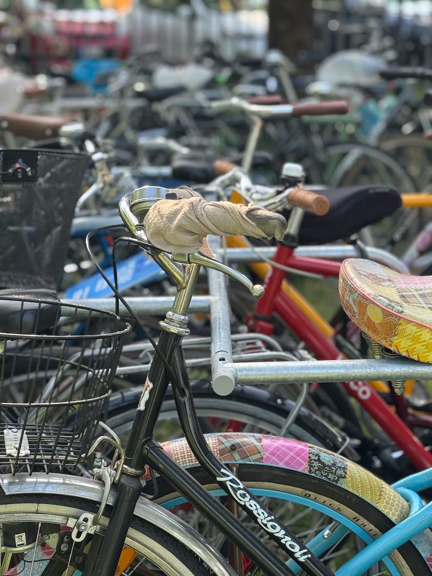 Dottò_Valet_Bike Parking_Scintilla_Cicloprogetti_APS_Nilox_4