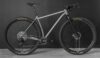 Twin_Six_Standard Ti 2x2_32"_1